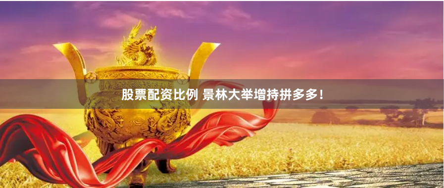 股票配资比例 景林大举增持拼多多！