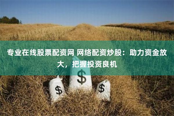 专业在线股票配资网 网络配资炒股：助力资金放大，把握投资良机